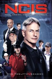 NCIS: Season 12