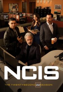 NCIS: Season 22
